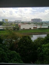 Blk 684C Choa Chu Kang Crescent (Choa Chu Kang), HDB 5 Rooms #475541391